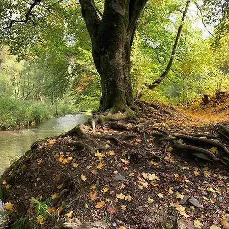 Entre Roches Et Nature Сasa de vacaciones *